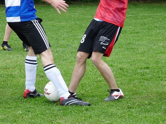 的关键因素 的关键因素