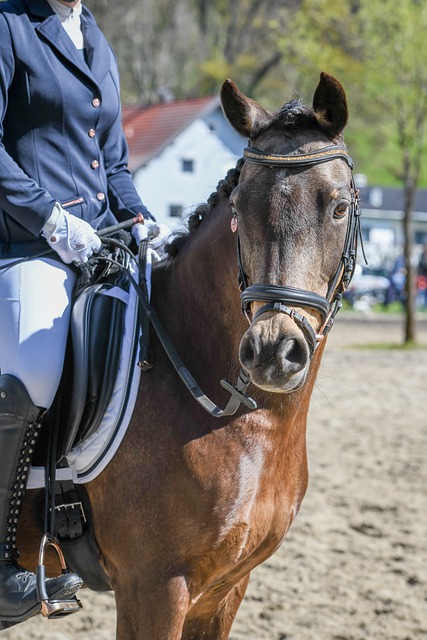 技术与文化 技术与文化