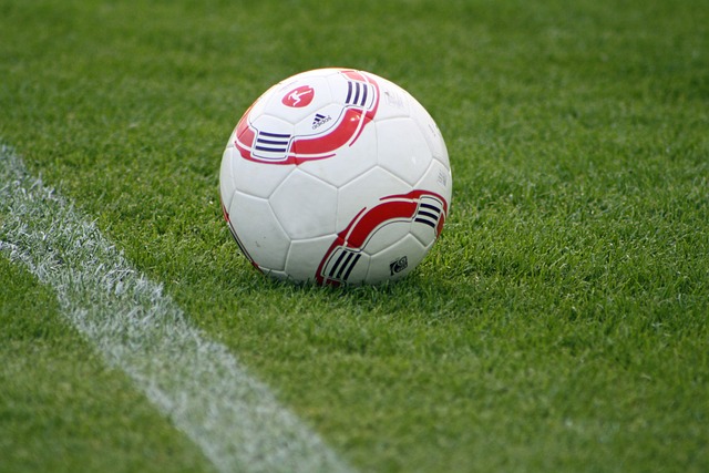 公布的名单 公布的名单