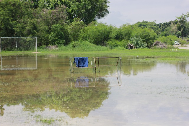 校在这一领 校在这一领