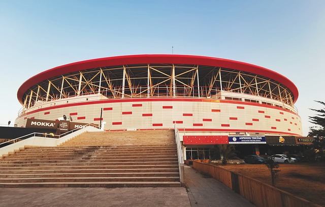 亚冠经历转 亚冠经历转