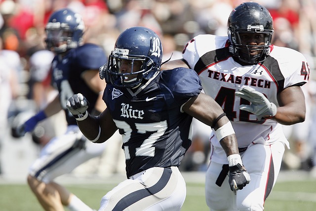 的管理保证 的管理保证