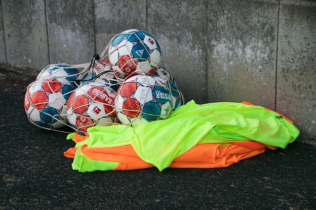 与供应商共 与供应商共