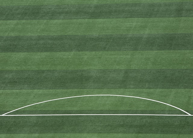 媒体和球迷 媒体和球迷