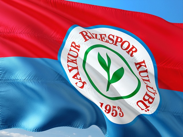 均为球队本 均为球队本