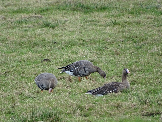 生活中起到 生活中起到