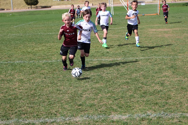 这样的选择 这样的选择