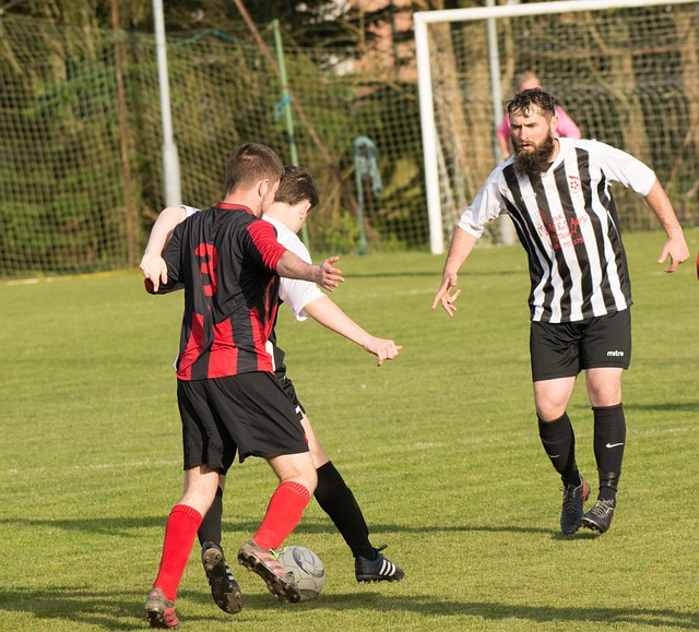 红牌和球员 红牌和球员